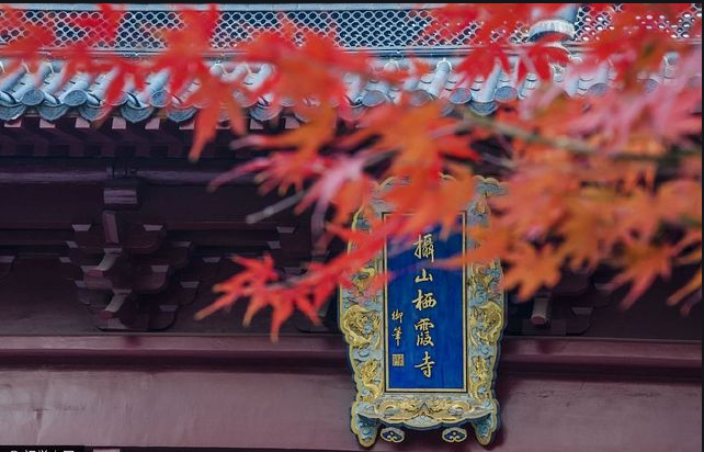 棲霞山楓葉換新顏，賞心悅目令人贊